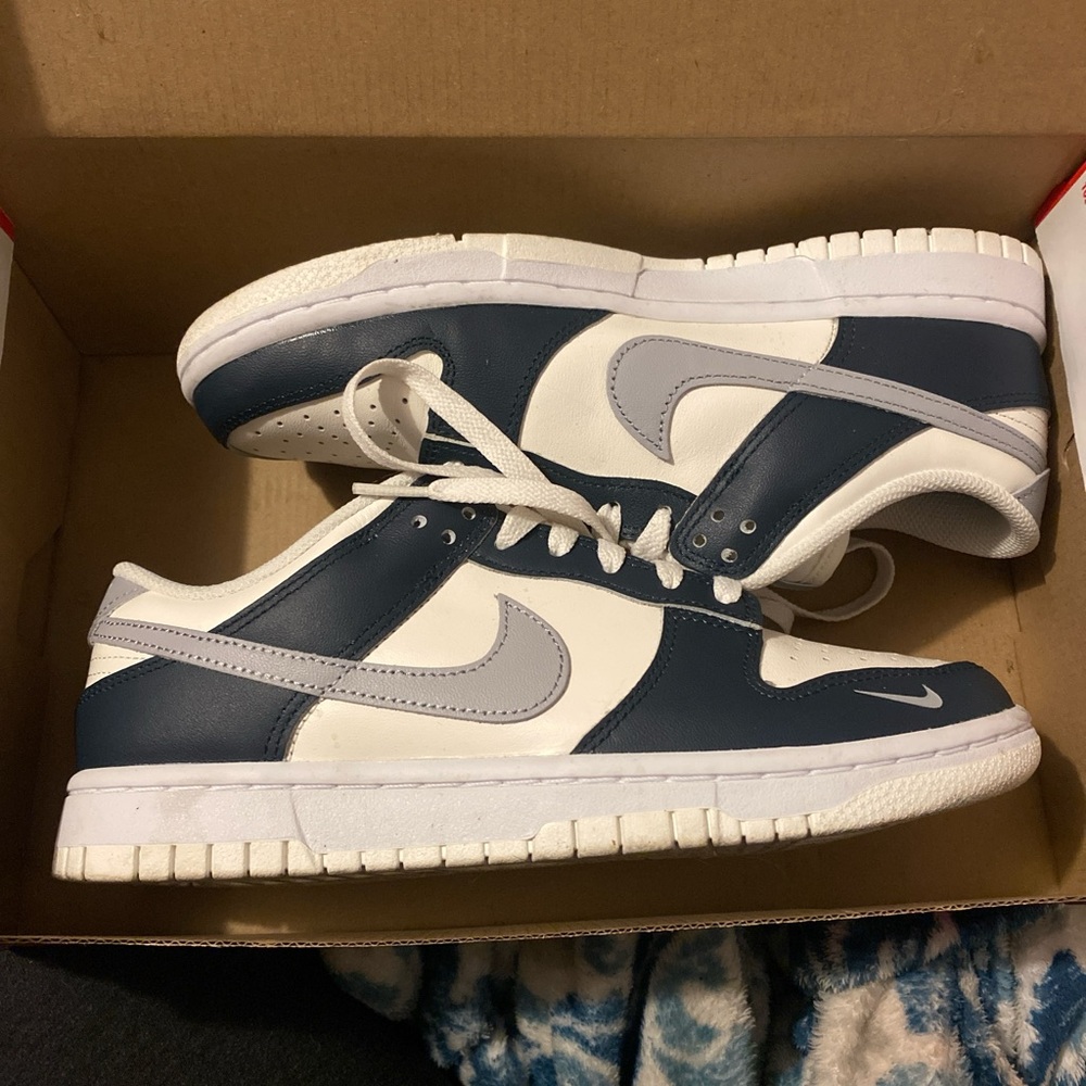 Nike Navy and White Low-Top Sneakers dunks